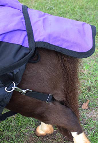 Image of Challenger 1200D Miniature Weanling Donkey Pony Horse Foal Winter Blanket 51975PR