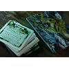 IELLO King of Tokyo Cthulhu Monster Game Pack