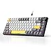 AJAZZ AK820 Wired Mechanical Keyboard, 75% Gaming Keyboard with Volume Control Knob, PBT Keycaps, 82 Keys, Five-Layer Sound Insulation Pad, South-Oriented RGB, Full-Key Hot Swap, Grey White Yellow
