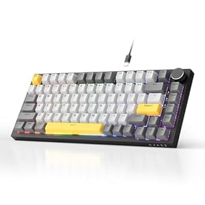 AK820 Kabelgebundene Mechanische Tastatur, Gaming-Tastatur, Südausrichtung RGB|Lautstärkeregler|82 Tasten|PBT-Tastenkappen|Poron Cotton|Hot-Swap-Fähiger, Custom Drivers für Windows MacOS Linux