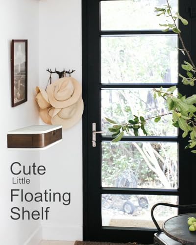 Stelalloy PT-FSWD-01 Floating Shelf With Drawer - Floating Drawers For Wall - Walnut Floating Shelves thumb #6