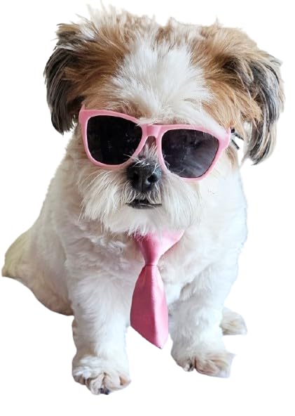 Set de Disfraz Retro para Perros Pequeños con Lentes y Corbata