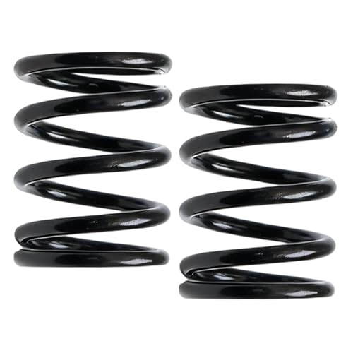 18 lb Valve Spring Kit – For Predator 196 cc