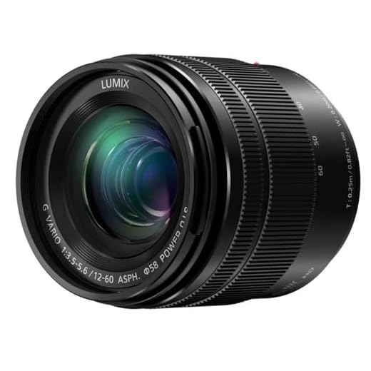 Panasonic LUMIX G 12-60mm Mirrorless Lens