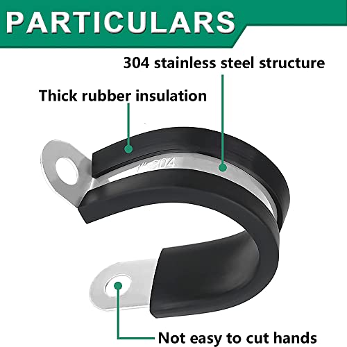 View 4