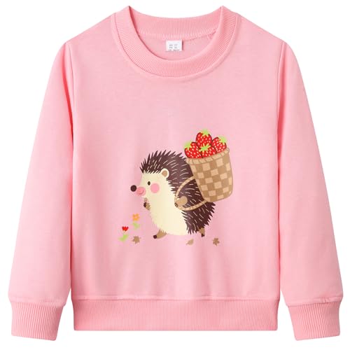 Dinopjs Mädchen Pullover der Kleine Igel Seine süße Erdbeer-Last nach Hause, Mädch Warm Sweatshirt, Cartoon Tiere Kleidung, Girls Top Wear Sportshirt Clothes für Kinder 4 Jahre / 104, Rosa