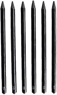 Casiler 6pcs Professional Woodless Graphite Pencils Set, Charcoal Sticks Drawing Sketch Pencil Set 2h 4b 6b 8b for Students