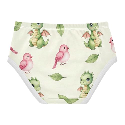 Cute Watercolor Dragons Birds Beige Panties Little Girl Girls Underwear Toddlers Cotton Stylish Underpants Briefs 2t2