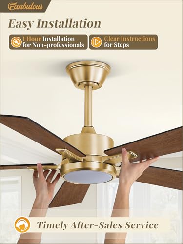 Image of Fanbulous 42 Inch Black and Gold Ceiling Fans with Lights and Remote, Stepless Color Temperature Change & Dimmable 20W LED Ceiling Fan, 6 Speeds Reversible Quiet DC Motor for Bedroom, Living Room