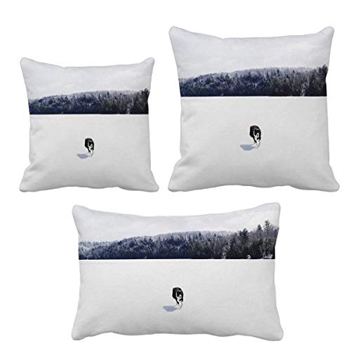 Housse de coussin pour chien et chat DIYthinker taie décorative salon - 2