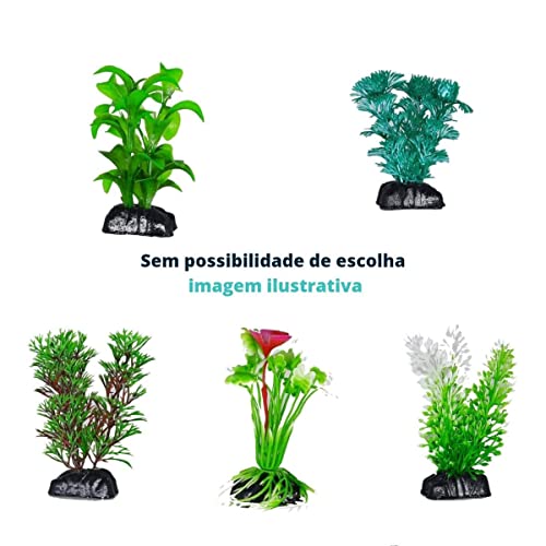 KIT Decoração para Aquário Pequeno Lâmpada LED Bivolt + Cascalho + Planta