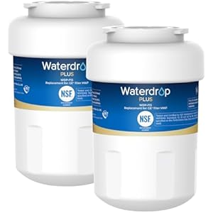 Waterdrop Plus WDP-F13 ?????? ???? Replacement for GE® MWF®, HDX FMG-1, MWFP, MWFA, RWF1060, Kenmore® 469991 Refrigerator Water Filter, 2 Pack (Package May Vary)
