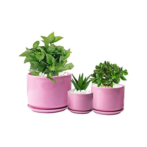 BUYMAX Ceramic Plant Pots, 4.2+5.2+6.2 inch Indoor Flower Pot with Connected Saucer and Drainage Hole, Planters with Hole Mesh Pad, Pots for Succuelnt, Gifts for Mom and Friends - Set of 3 - Pink Cover