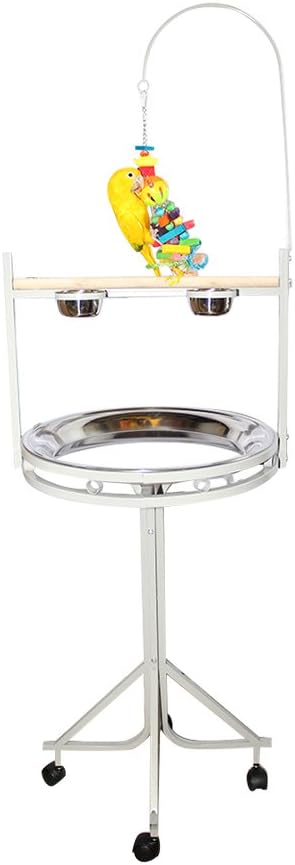 Birds LOVE Stainless Steel Tray, Non-Toxic, Powder Coated Parrot Playstand with Perch, Toy Hook and Stainless Steel Cups (Platinum)