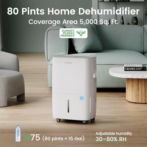 Dehumidifier for Basement