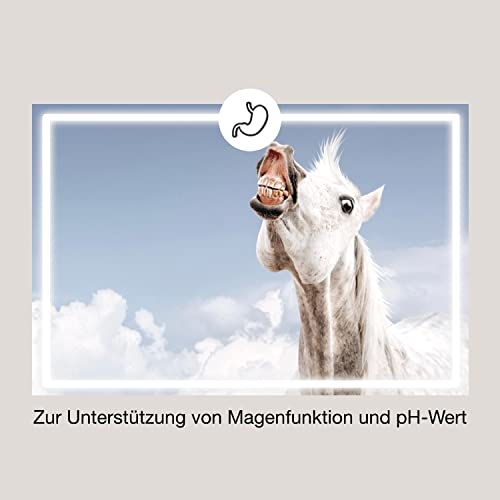 EquiMove Gastro (1,5 kg) | Magenschutz für Pferde | Unterstützung von Magen und pH-Wert | mit Mineral-Algen (Lithothamnium) und Kamillenblüten-Extrakt