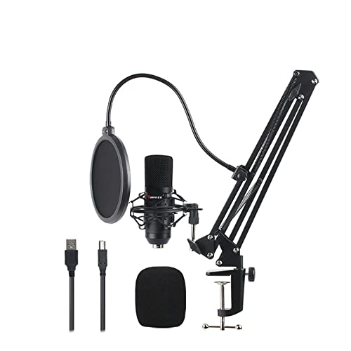 Microfono Condensador Bm700