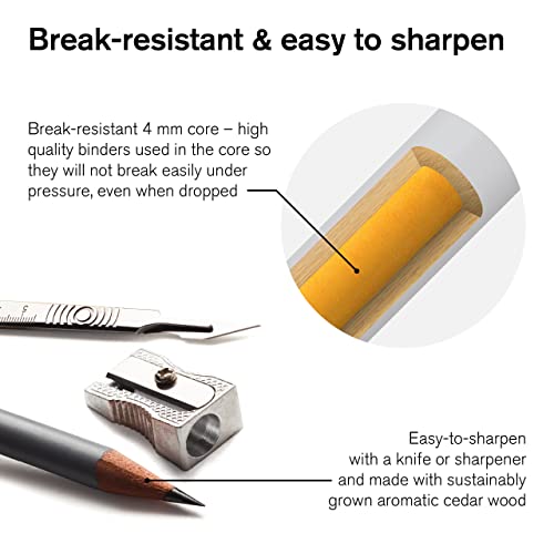 Winsor & Newton Studio Collection Artist Pencils, Color Pencils, Set Of 48 #TOP6