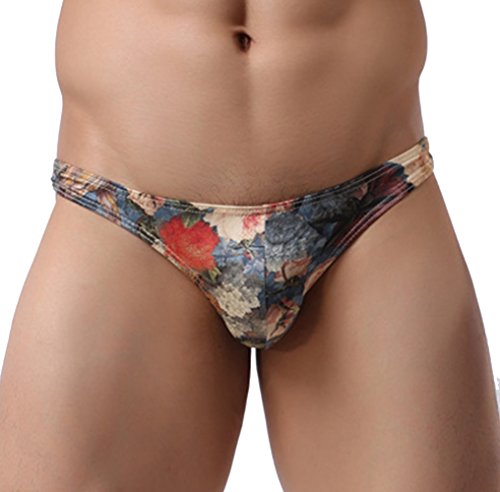 Mendove Men's Low Rise Bikinis Retro Floral Print Milk Silk Soft Brief Underpants