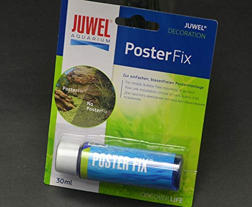 Anncus clamshell blister packaging with Custom Black chocolate plastic trays Blister packaging ---DH5033