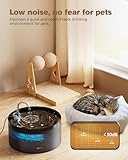 BEMOONY Katzenbrunnen, 3.2L Trinkbrunnen für Katze, Katzenbrunnen für Katzen leise Pumpe mit Led, Tiefenfilterung, Durchsichtiger Wassertank, Geeignet für Haushalte mit Mehreren Haustieren, Schwarz