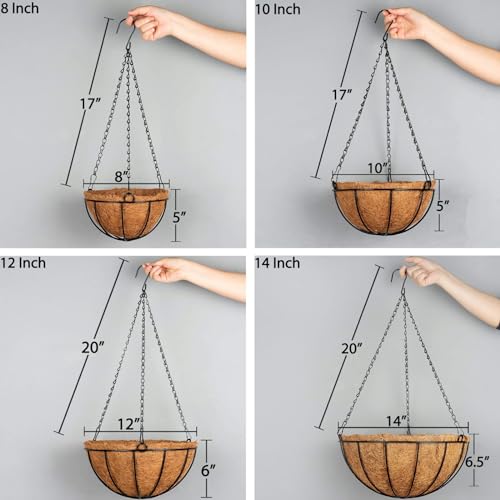 Kingbuy 12" Metal Hanging Basket for Herbs & Flowers – 6" Depth Rust-Resistant Wire with Coconut Liner & Adjustable Chains for Kitchen Window, Balcony & Garden - 2 Pack — view 6