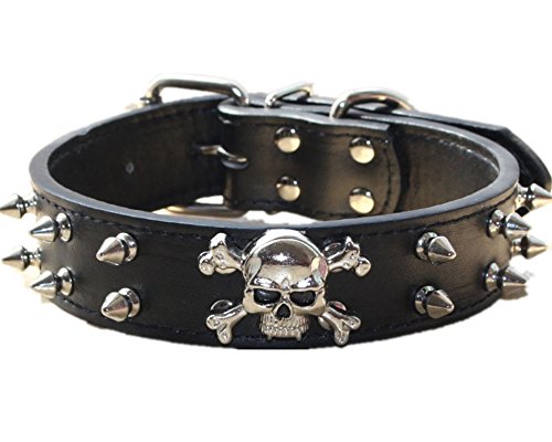 haoyueer Hundehalsband aus Leder mit Nieten, 2 Reihen Kugelnieten, PU-Leder – Cooles Totenkopf-Zubehör für mittelgroße und große Hunde (schwarz, M)