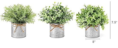 Mkono Artificial Succulent In 3 Pack Mini Glass Geometric Terrarium And Set Of 3 Mini Potted Artificial Plants Faux Tabletop Greenery In Decorative Galvanized Metal Pots #TOP6