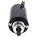 NICHE Starter Motor for Triumph Tiger 800 XR XRx XRt XCX Xca T1313333 Motorcycle