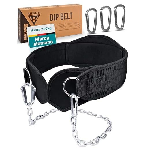 PULLUP & DIP Cinturón con Cadena y 3 Mosquetones, Dip Belt con Solapas de Neopreno como Protección de la Ropa, Cinturón de Inmersión con Pesas, Cinturón de Halterofilia para Calistenia, Musculación