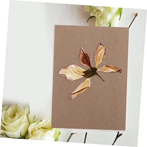 Outil pour fleurs séchées Uonlytech et plaques pour créer des cadeaux uniques faits main