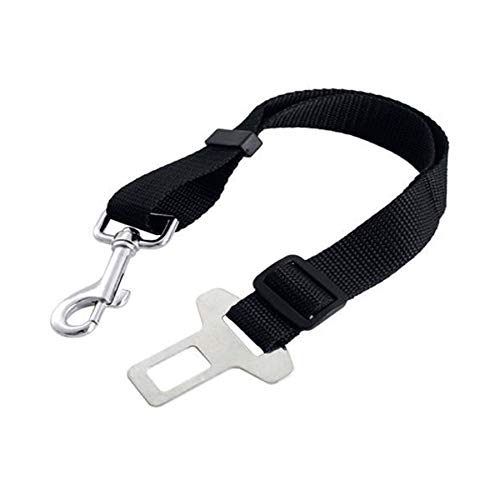 Kit Capa Pet Banco e 2 Cinto De Segurança Carro Universal