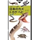 ヘルマンリクガメ フィギュア 部屋んぽver. 送料込】C賞 ヘルマンリクガメ フィギュア 部屋んぽver.【未開封