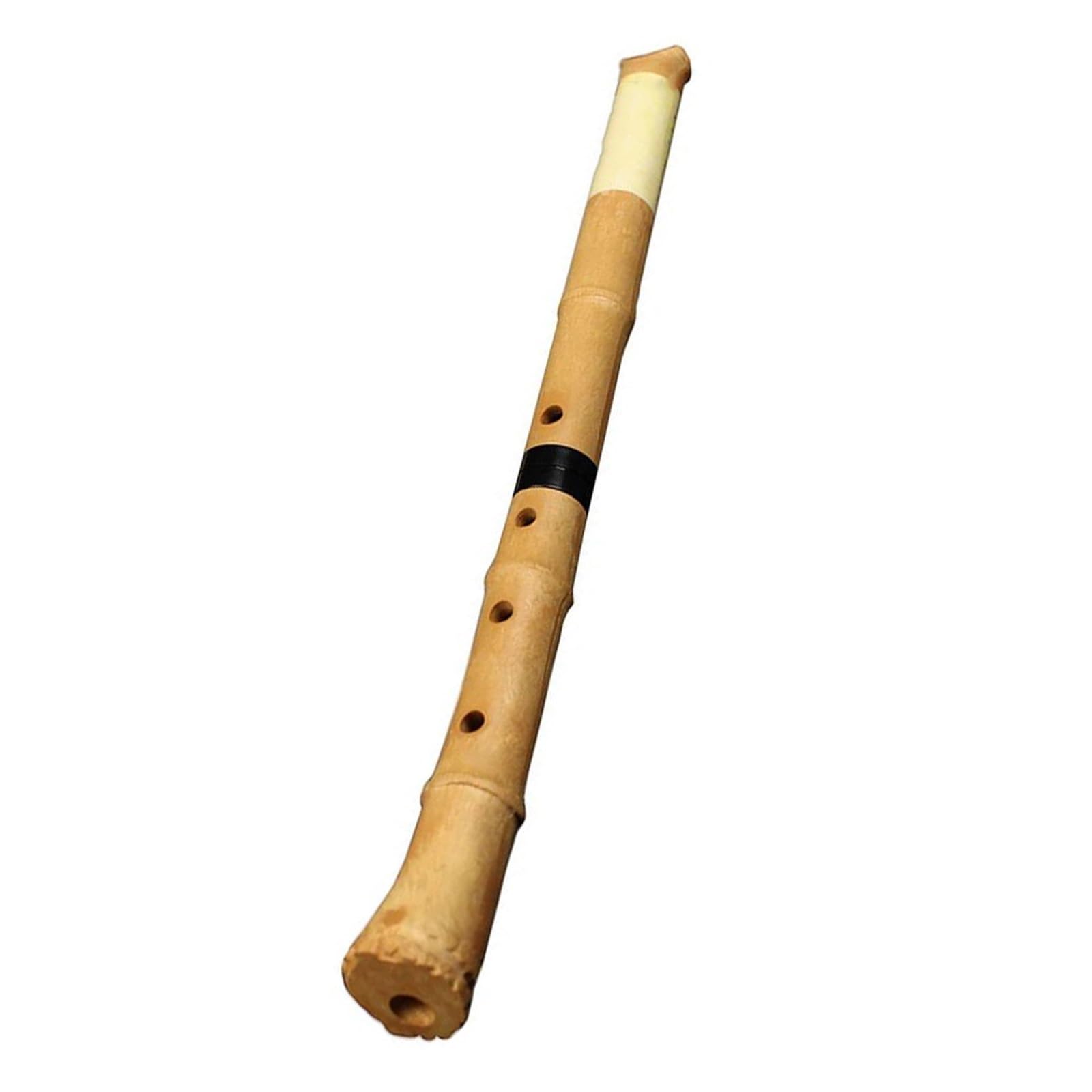 Flûte En Bambou Shakuhachi En Résine Accordage En D 5 Trous Instrument En Bois Flûte En Bambou