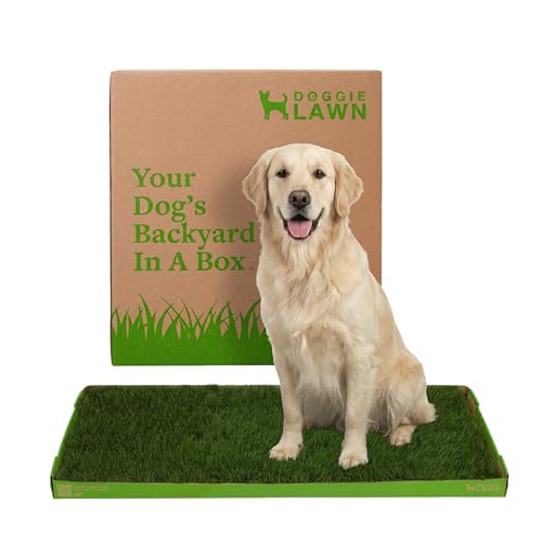 DoggieLawn XL - Real Grass Dog Pee Pad with Built-in
