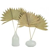 Natural Large Dried Palm Leaves-4 pcs Dried Palm Fans, Dried Palm Spears, Artificial Plants Palm ...