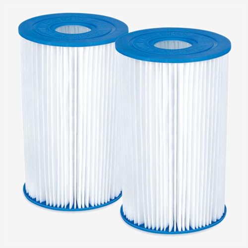 Funsicle Type A/C Filter Cartridge 2-Pack, Replacement Pool Filter Cartridges, Adults