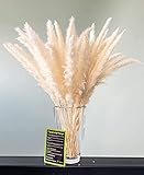 🌱 VERSANDSICHER: liebevoll & geschützt verpackt + unversehrte, unbeschädigte Lieferung an Sie – Ihr neuer Hingucker in satten Farben für Wohnzimmer, Schlafzimmer oder Badezimmer + auch auf Hochzeiten als frisches & natürliches Blumengesteck sehr beliebt.