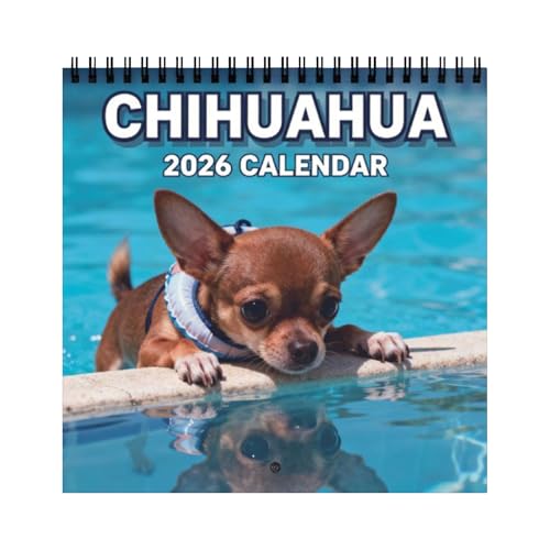 Chihuahua Kalender 2026, 21X21CM Niedlicher Chihuahua Wandkalender, Lustige Chihuahuas Wandplaner Kalender, Neuartige Chihuahuas Monatsplaner Ganze Familie, für Geschenkidee Hundeliebhaber