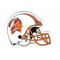 関学アメフトヘルメットステッカー 部員配布】関西学院大学ファイターズ ヘルメット ステッカー 2枚