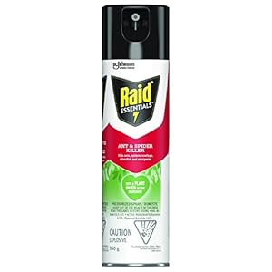 Raid Essentials Ant And Spider Killer, Kills Listed Bugs On Contact, 350g