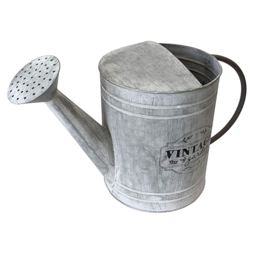 Arrosoir galvanisé - Arrosoir en zinc - Verseuse en métal - Arrosage de jardin - Vintage - 5 litres