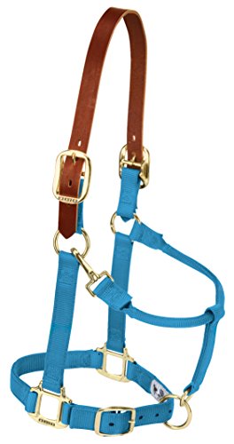 Weaver Leather Adjustable Breakaway Nylon Horse Halter , Hurricane Blue, Weanling Pony
