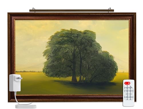 Situ Lighting: Plug-in Vision Series Remote Controlled LED Art...