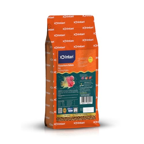 Image of Intan Flower Horn Pellets (Big 3.0mm Floating) | 1Kg - Highly Nutritious Ornamental Fish Food for Flowerhorn & Kamfa | Growel Feeds