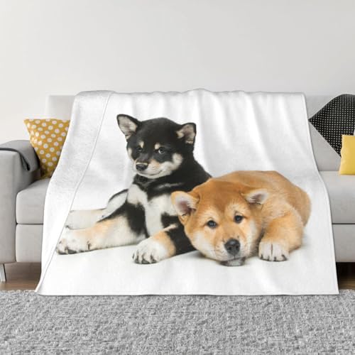 uPbg Č    킢 킢  ѕz GARuPbg ӂӂ  tl Ђ| _炩G g Ódh~ 􂦂 lC v[g lGKp 100cmx125cm