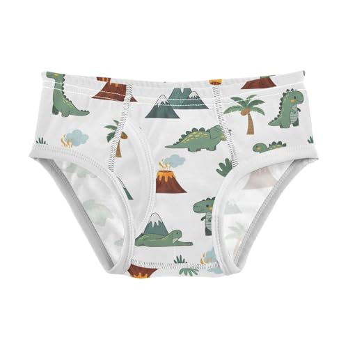 CHIFIGNO Cute Cartoon Dinosaurs White Boys' Underwear Cotton Boys Briefs Printed Breathable Brief Underwear