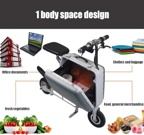 Innovative Smart Rideable Suitcase: Foldable Electric Luggage with Footrest & Seat – 20L Capacity, Silver, Up to 50 km Range3