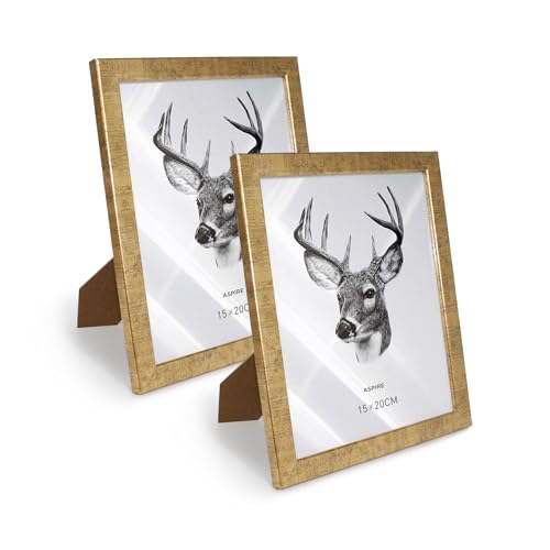 SHANN Parck 2 Marco de Fotos Dorado con Cristal, 15x20 cm, Soporte de Mesa y Pared, Desmontable – Decoración Moderna para Hogar y Oficina