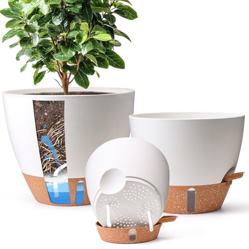T4U 3 Pack Self Watering Pots (8"+10"+12") - Water Level Indicator & Deep Reservoir, Mess-Free Planters for Busy People, Beginners & Gardeners, Fits Pothos to Monstera, Indoor Outdoor Use (White)